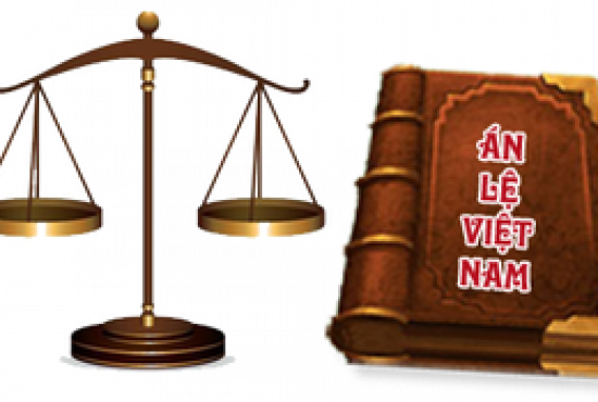 Án lệ và những đặc điểm của án lệ Việt Nam
